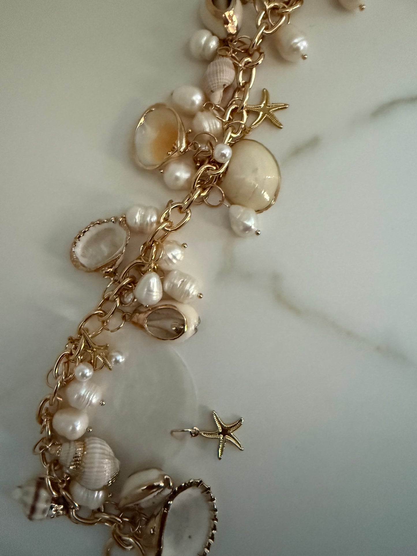 Woven Seashell Purse
